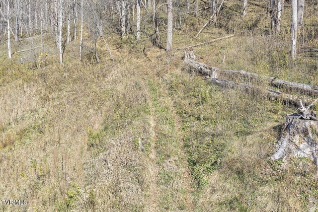 625 Heaton Creek Road, Roan Mountain, TN 37687