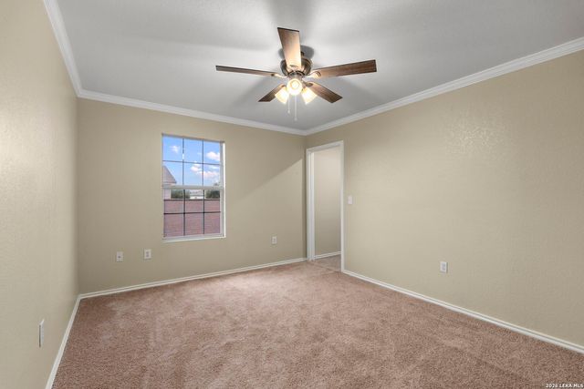 6011 Plumbago, San Antonio, TX 78218