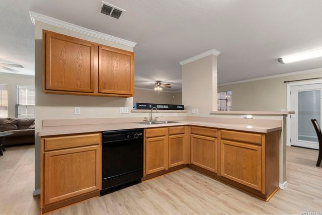 6011 Plumbago, San Antonio, TX 78218