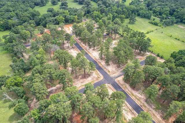 12022 Pinecrest Dr, Flint, TX 75762