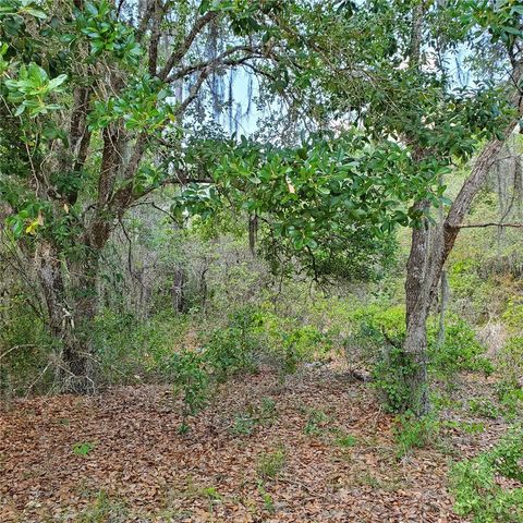 1345 ST AUGUSTINE COURT, Kissimmee, FL 34759