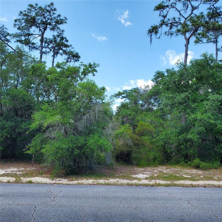 1345 ST AUGUSTINE COURT, Kissimmee, FL 34759