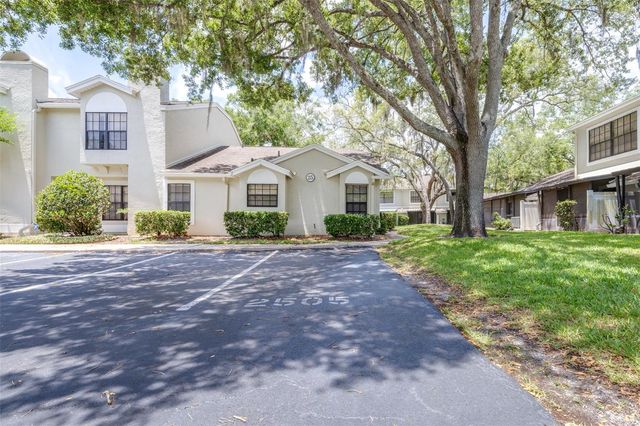 5100 BURCHETTE ROAD 2505, Tampa, FL 33647