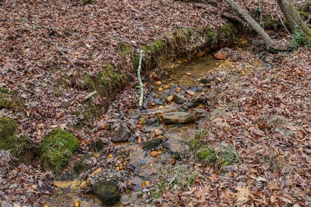 00 Timberland Drive, Ellijay, GA 30540
