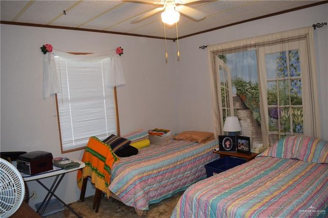 345 Fan Palm Drive, Alamo, TX 78516