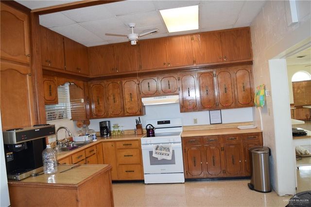 345 Fan Palm Drive, Alamo, TX 78516