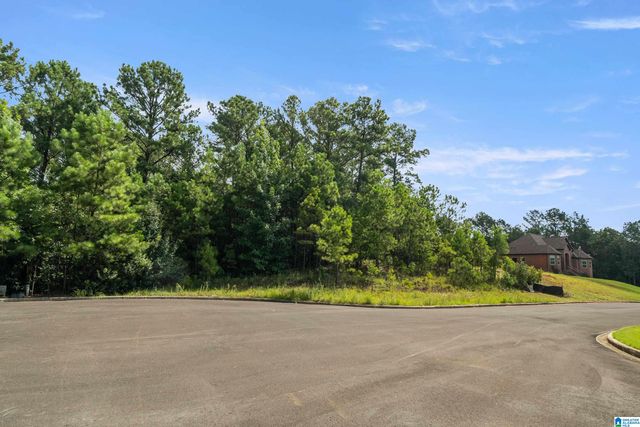 6503 IVY WALK, Mccalla, AL 35022