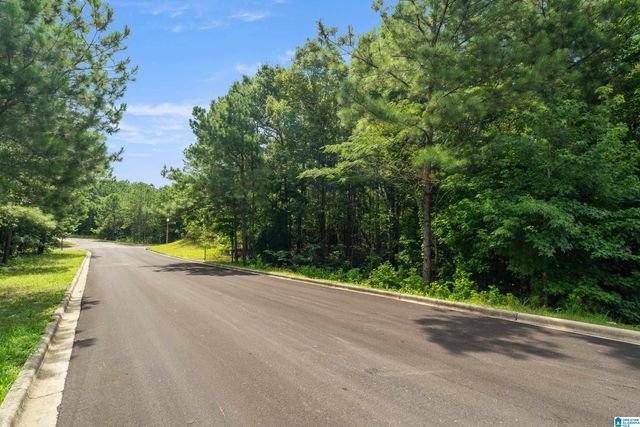 6503 IVY WALK, Mccalla, AL 35022