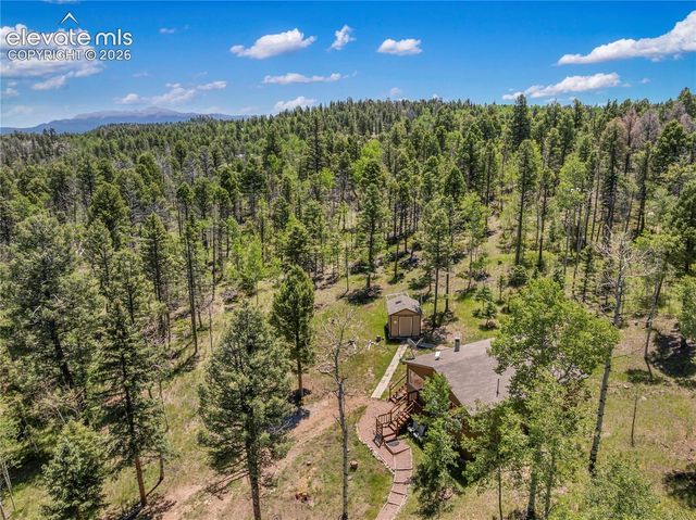 173 Deerview Drive, Florissant, CO 80816