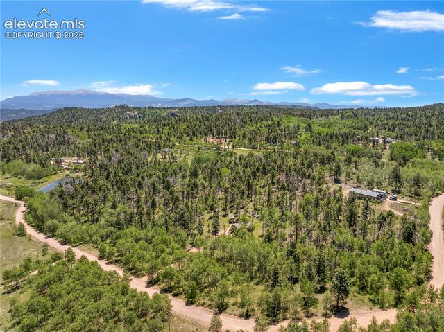 173 Deerview Drive, Florissant, CO 80816