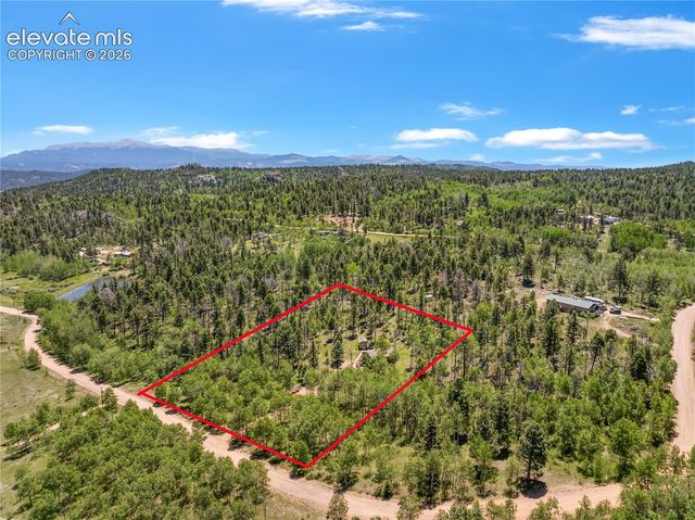 173 Deerview Drive, Florissant, CO 80816