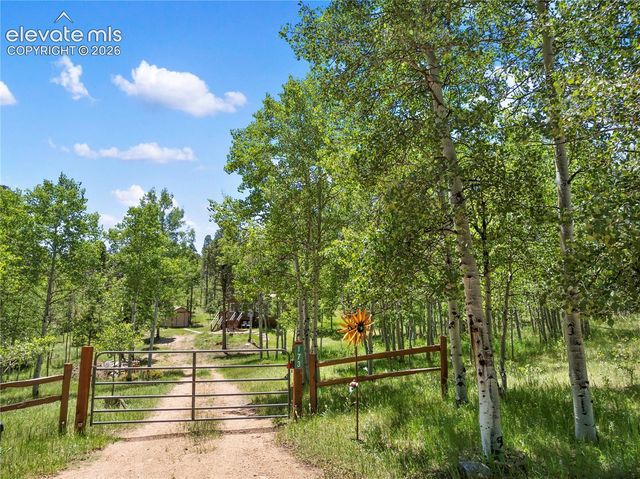 173 Deerview Drive, Florissant, CO 80816