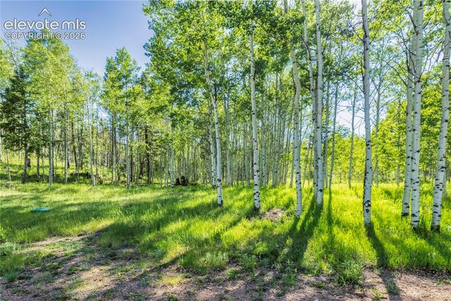 173 Deerview Drive, Florissant, CO 80816