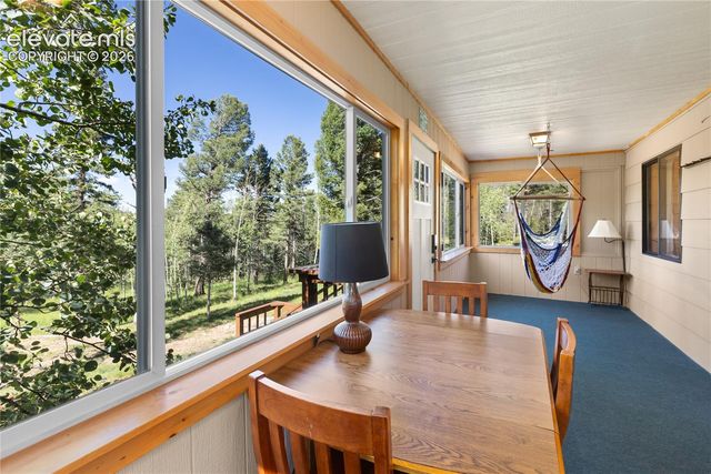 173 Deerview Drive, Florissant, CO 80816