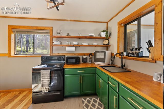 173 Deerview Drive, Florissant, CO 80816