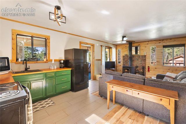 173 Deerview Drive, Florissant, CO 80816