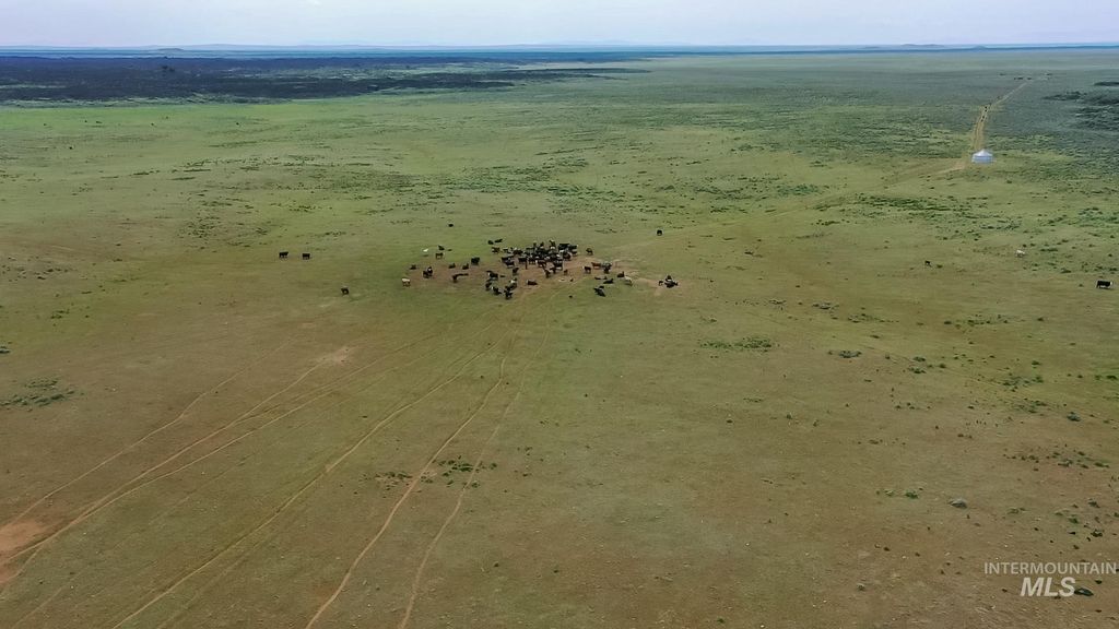 TBD Tbd, Carey, ID 83320