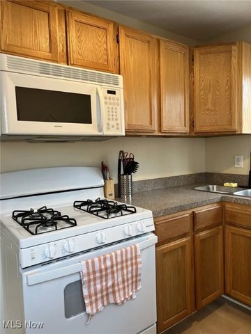 5263 Log Cabin Drive, Geneva, OH 44041