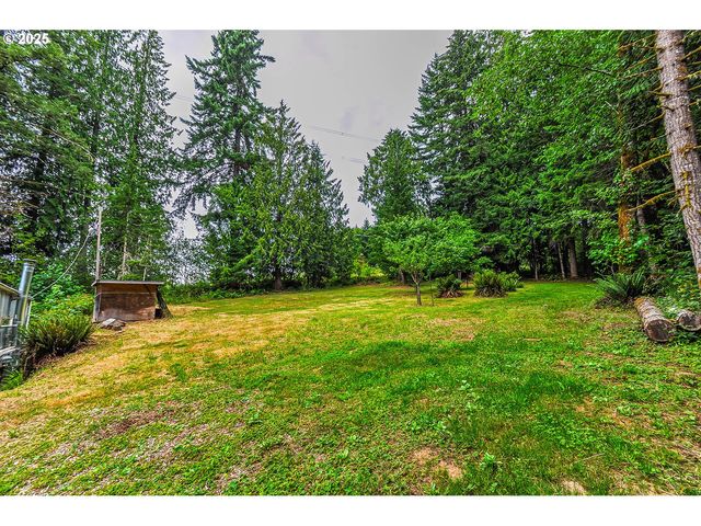 74738 APIARY Rd, Rainier, OR 97048