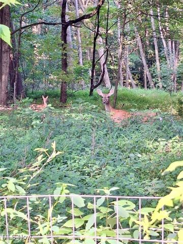 8087 Magnet Road NE, Minerva, OH 44657