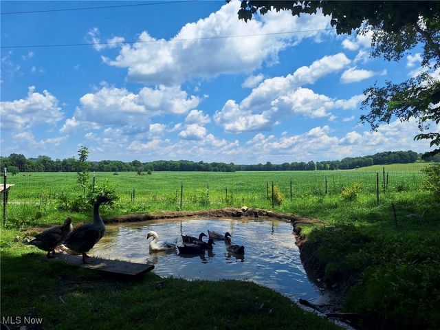 8087 Magnet Road NE, Minerva, OH 44657