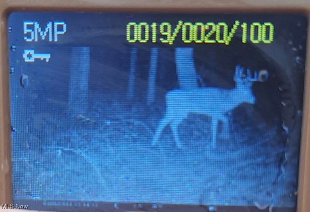 8087 Magnet Road NE, Minerva, OH 44657