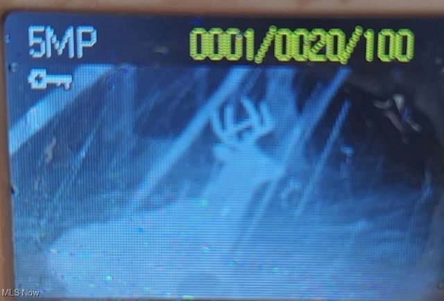 8087 Magnet Road NE, Minerva, OH 44657