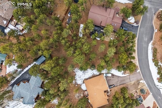 109 Flagstick Drive, Woodland Park, CO 80863