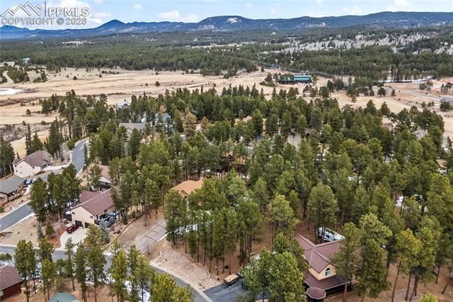 109 Flagstick Drive, Woodland Park, CO 80863