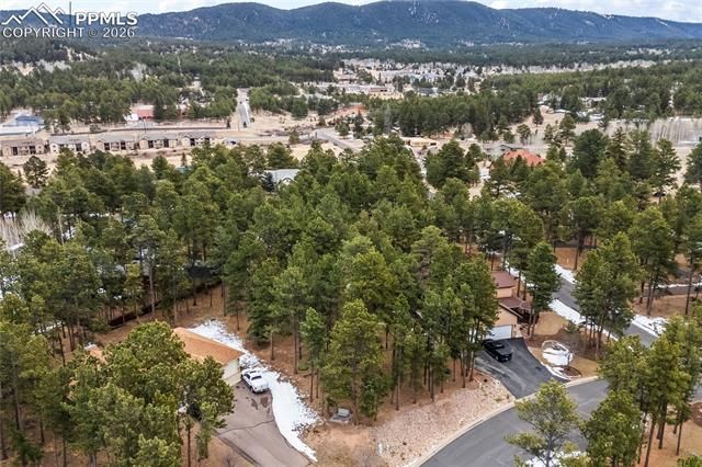 109 Flagstick Drive, Woodland Park, CO 80863