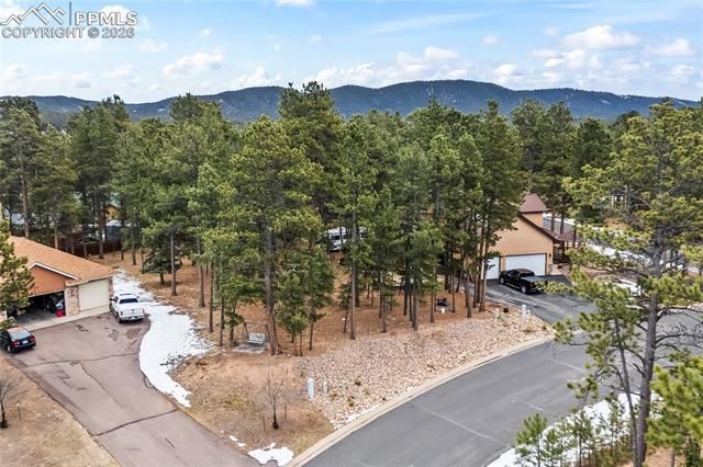 109 Flagstick Drive, Woodland Park, CO 80863