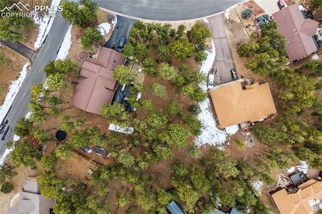 109 Flagstick Drive, Woodland Park, CO 80863