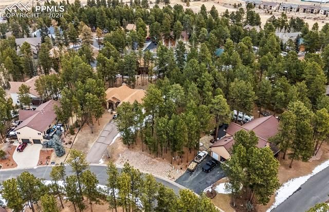 109 Flagstick Drive, Woodland Park, CO 80863