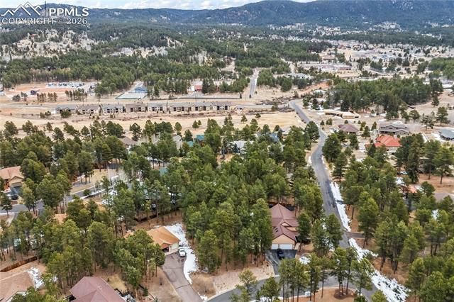 109 Flagstick Drive, Woodland Park, CO 80863