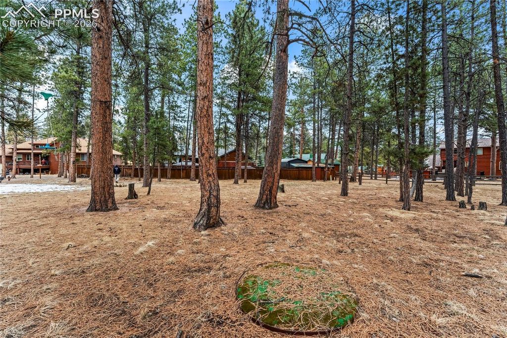 109 Flagstick Drive, Woodland Park, CO 80863