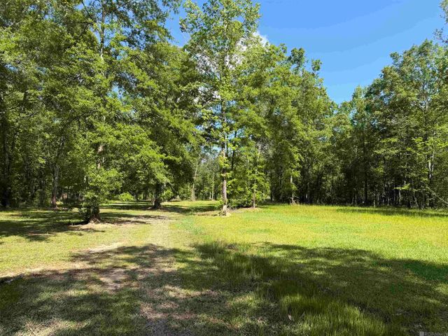 17635 Melancon Rd, Livingston, LA 70754