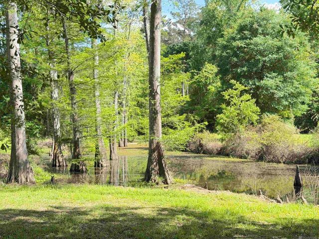 17635 Melancon Rd, Livingston, LA 70754