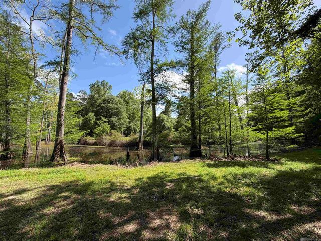 17635 Melancon Rd, Livingston, LA 70754
