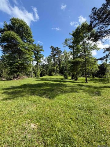 17635 Melancon Rd, Livingston, LA 70754