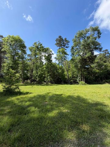 17635 Melancon Rd, Livingston, LA 70754
