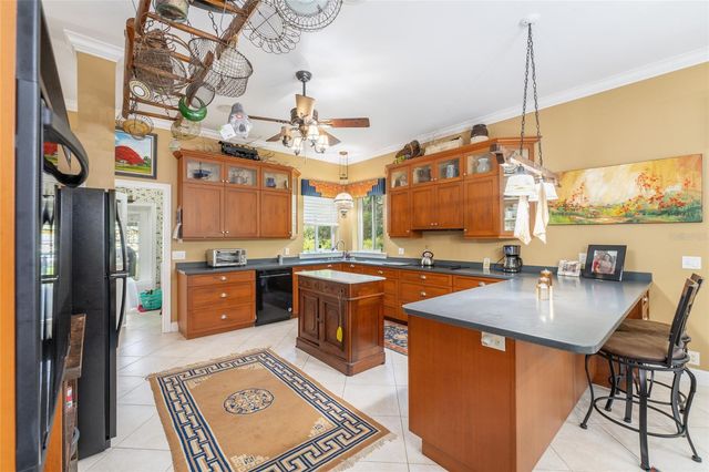 32511 COUNTY ROAD 437, Sorrento, FL 32776