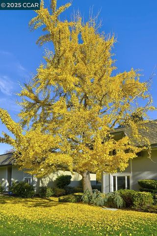 1429 Skycrest Dr 5, Walnut Creek, CA 94595