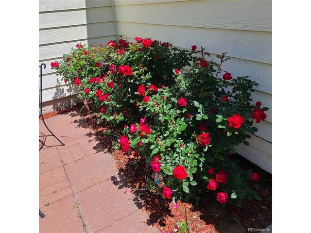 5110 Fennel Dr, Colorado Springs, CO 80911