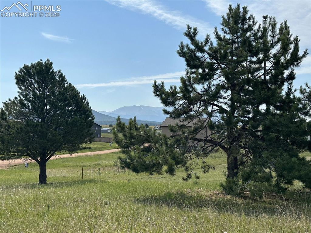 333 Golden Grain Lane, Divide, CO 80814 — photo 4