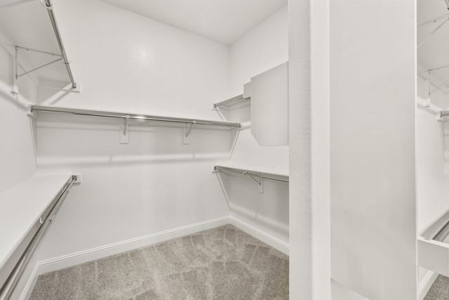 2908 Wallis Drive, Melissa, TX 75454