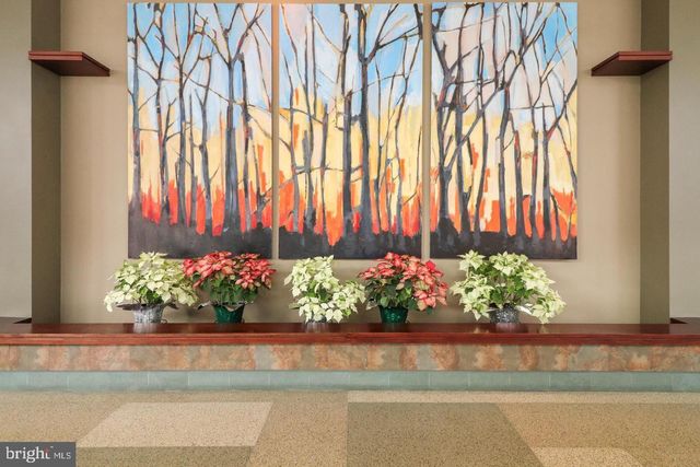 4600 S Four Mile Run Dr Apt 1119, Arlington, VA 22204