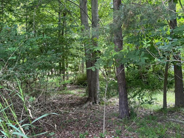 125 W Shore Woods Drive, Douglas, MI 49406