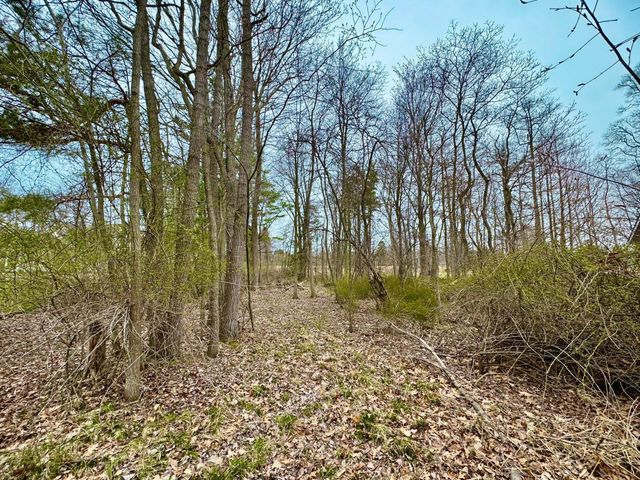 125 W Shore Woods Drive, Douglas, MI 49406