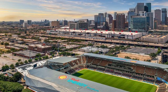 2228 Mcgowen Street, Houston, TX 77004