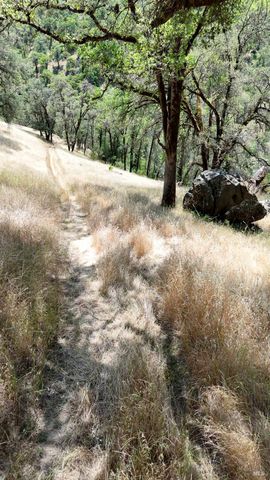 35000 Mendocino Pass Rd, Covelo, CA 95428